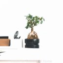 Luxury Restaurant Music - Sophisticated Ambience for Remote Work