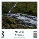 Ninjury Featuring Cima - Danger Zone