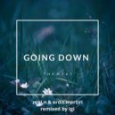 Zeni N & Erdit Mertiri - Going Down (Igi Remix)