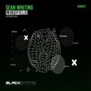 Sean Whiting - Mindfield (Radio Edit)
