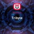 Realtech - Tribyte