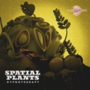 Spatial Plants - Vagatoria (Original mix)