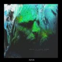 Joseph Disco - Trippy