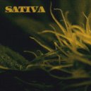 JingLi & Velli Kan - Sativa (Original Mix)