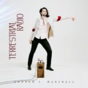 Andrew C. Marshall - Cool Cat ()