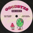 Neidex - With You (Original Mix)
