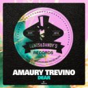 Amaury Trevino - La Llené De Groove (Original Mix)