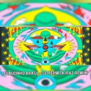 RAZ feat. Claudinho Brasil - Se Permita (RAZ Remix)