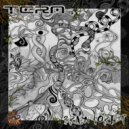 Tera - Face The Frames (Original Mix)
