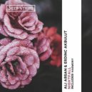 Ali Arsan, Erdinc Akbulut - Nightfall (Original Mix)