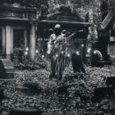 NØ Shelter - Covered In Fear