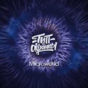 Тип с окраины - Microworld