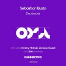 Sebastian Busto - The Miracle (Lerr Remix)