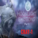 CRAY-1 - Moonlight Emotions Part 1 (Original mix)