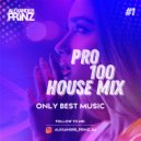 DJ Alexander Prinz - Pro100 House (Mix 2020)