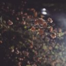 Flowers Manson - Days on End