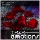ShezZzo376 - Ideen