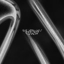 Ecstasy and Chaos - Ecstasy and Chaos 02 (303 TWERP)