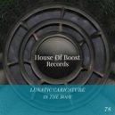 Lunatic Caricature - Groove Tech