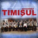 Aurel Popa - Intoarsa