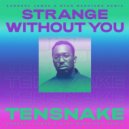 Tensnake x Dáramólá - Strange Without You
