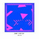 Sonny Lover Boy - Hold On