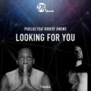 Pixel82, Robert Owens - Looking For You (Main Vocal Mix)
