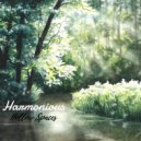 Harmonious - Hollow Spaces (Greg Nairo Remix)
