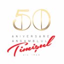 Ansamblul Timisul - Moldoveneasca