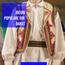 Ansamblul Timisul - Braul Borlovenilor