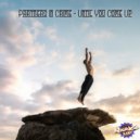 Partners In Crime - Until You Come Up (Original Mix)