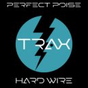 Perfect Poise - Hard Wire (Original Mix)