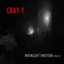 Cray 1 - Moonlight Emotions Part 2 (Original mix)