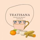 Teatisana - Ginger & Orange