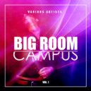 Maxim Leity, Cub\'X - Crashed (Stereo Tonic Remix)