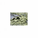Mindfulness Healing BGM Project - Module and Rest