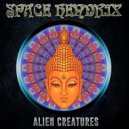 Space Hendrix - Cosmotronica