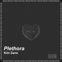 Kim Sane - Plethora (Original Mix)