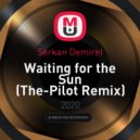Serkan Demirel - Waiting for the Sun (Remix)