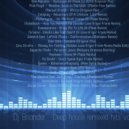 DJ Briander - Remixed hits vol 3 ()