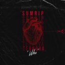 SUMRIP & TERNOVA - ШВЫ