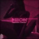 Namerenniy & Kamenskiy - NeoN