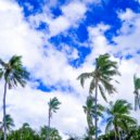 Tropical Christmas Seduction - Christmas at the Beach - Auld Lang Syne ()
