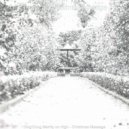 Tropical Christmas Vintage - Christmas 2020 God Rest Ye Merry Gentlemen ()