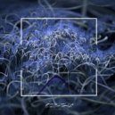 Koschenill - Ebolatius