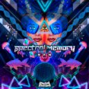 NFM - Spectral Memory (Original Mix)