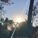 Ruimte Vogel - Dissolving Matter (Original Mix)