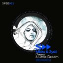 Mikita, Zyski - Dream A Little Dream (DJ Lisi Remix)