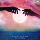 STARLYTE & Harley Bird - Not Letting Go ()
