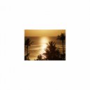 Mindfulness Healing BGM Project - Anemone & Joy (Original Mix)